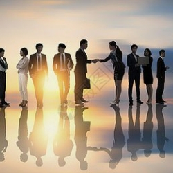 了解行业 / 周边