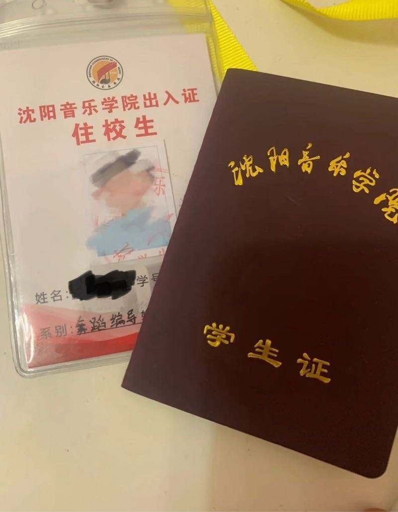 沈阳外围-音乐学院舞蹈生