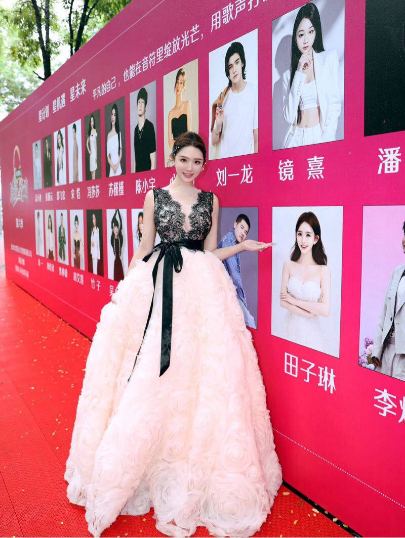 成都外围-演员歌手艺人