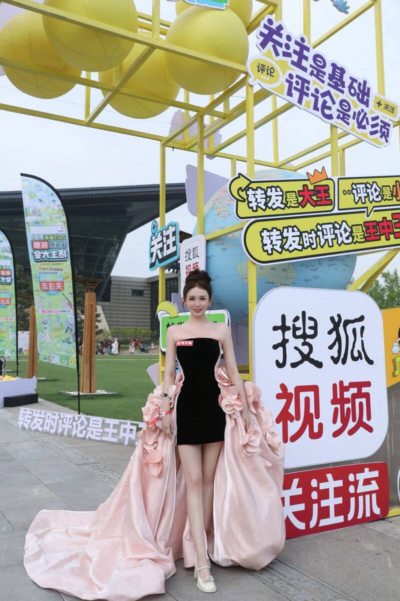 成都外围-演员歌手艺人