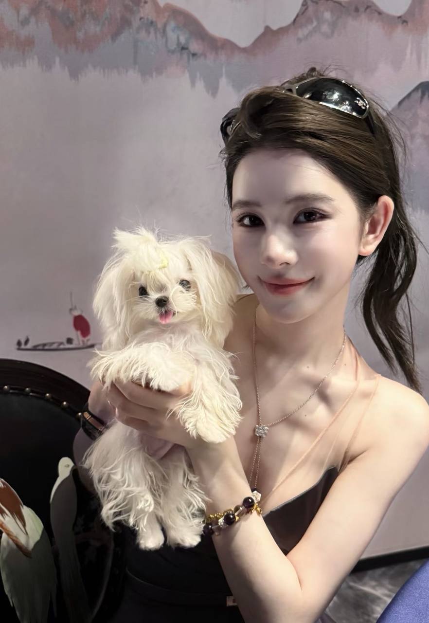 上海同城 上海网红 上海高端伴游 上海京城名媛 京城高端约会 上海同城伴游俱乐部 上海大气体面高端陪伴 上 ...