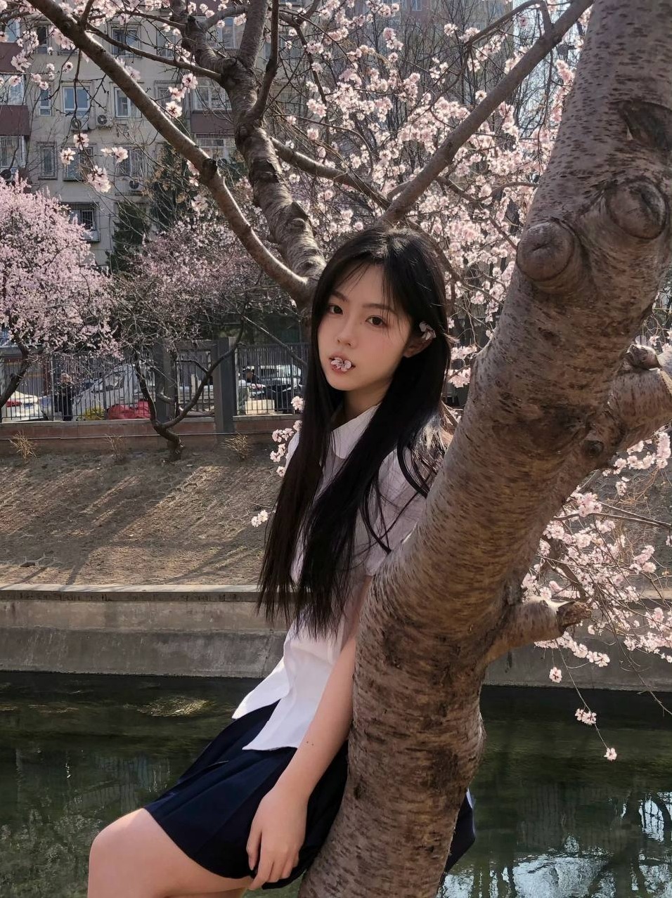 深圳旺仔🏠南 168cm C杯 深圳