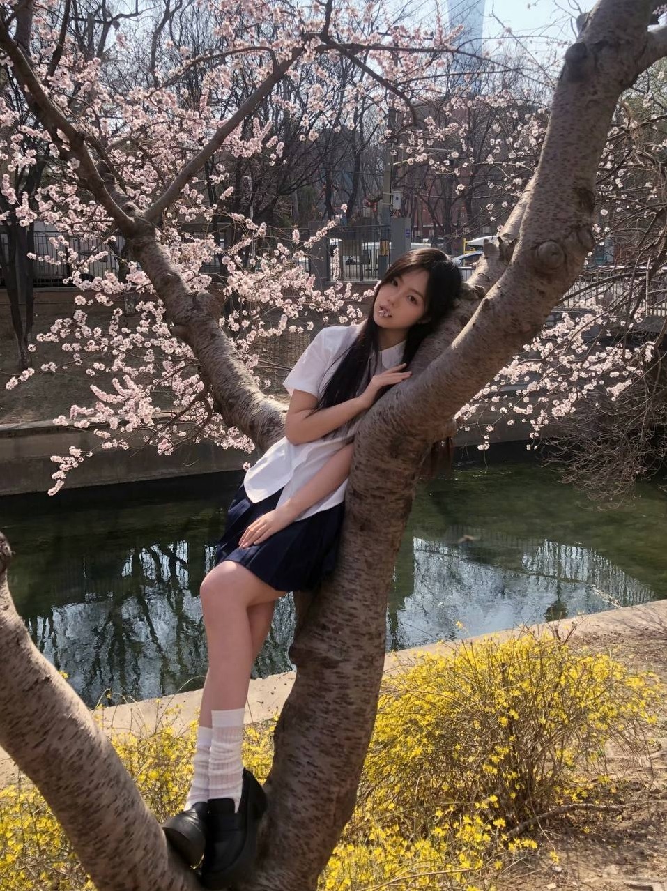 深圳 深圳旺仔🏠南 168cm C杯