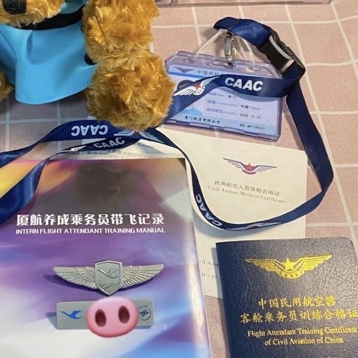南京Laochen空姐 170cm Dcup 皮肤雪白 高情商 可69可蛇可二
