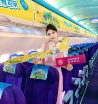 上海外围-可爱在飞空乘