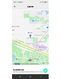 4406--深圳-小糖豆 173D天然美胸语文教师